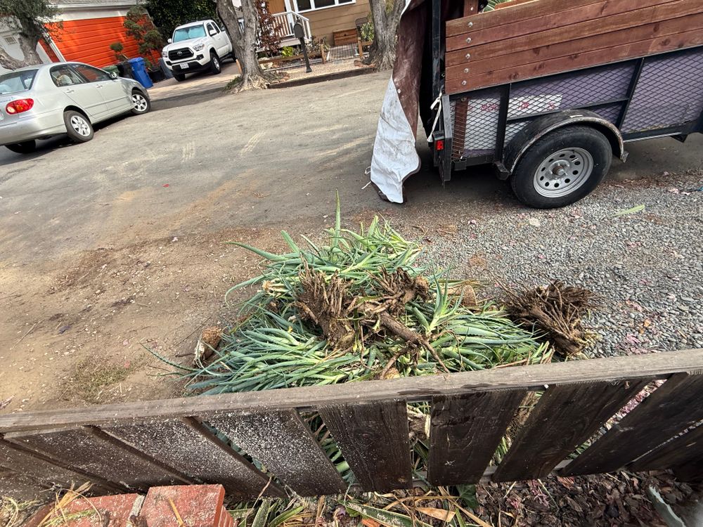 All Photos for CBA Landscaping in Hayward, CA