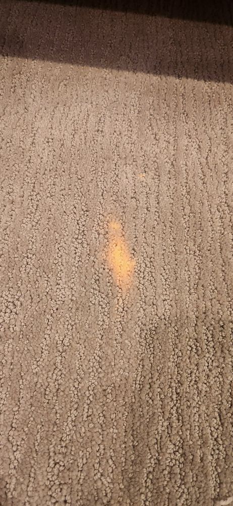 All Photos for Cut a Rug Flooring in Lake Orion, MI