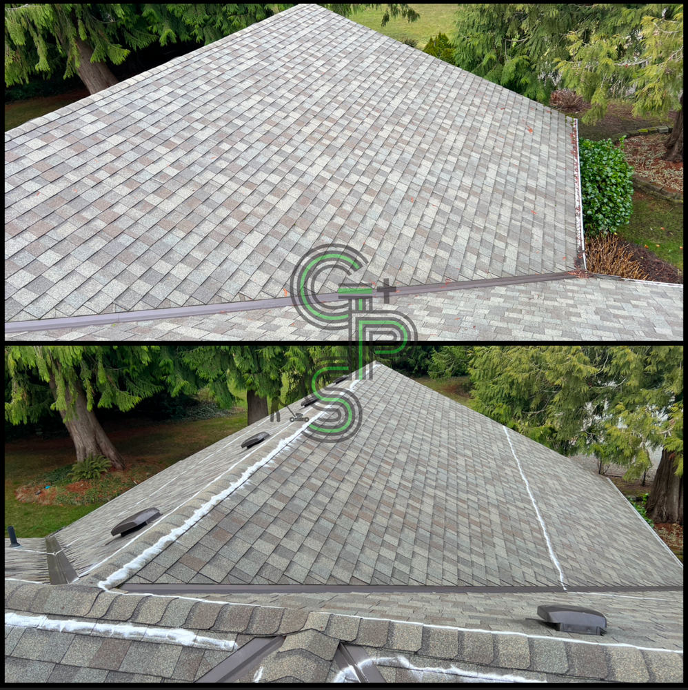 Roof and Gutter Cleaning for Golovin Property Services LLC in Marysville, WA