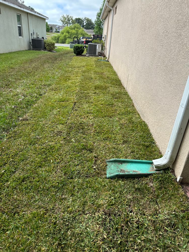 All Photos for Gulf Bay Sod in Clearwater, FL