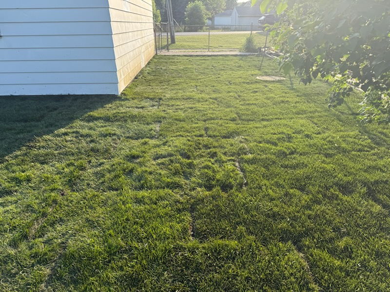 All Photos for Mow Pros in Westland, MI
