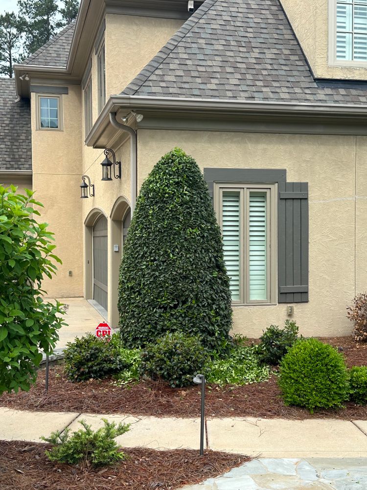 All Photos for Pecina Pine Needles in Monroe, NC