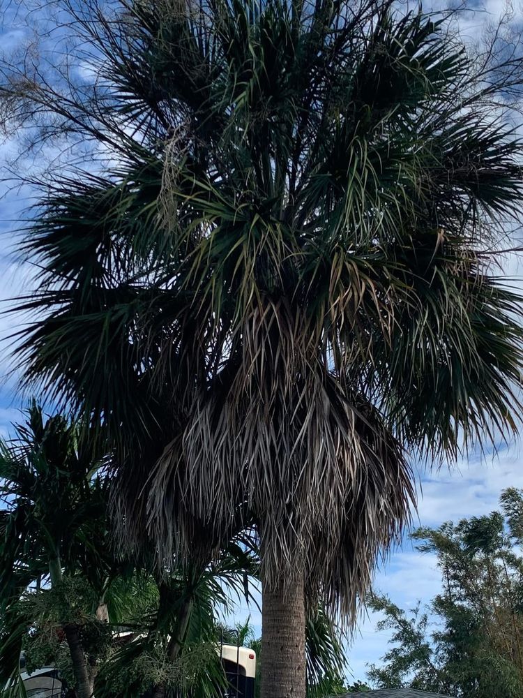 All Photos for Space Coast Property Maintenance and Management LLC in Melbourne, FL