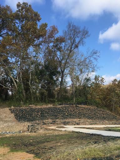 Tree Removal for Tucker's Tree Service and Stump Grinding in Lugoff, SC