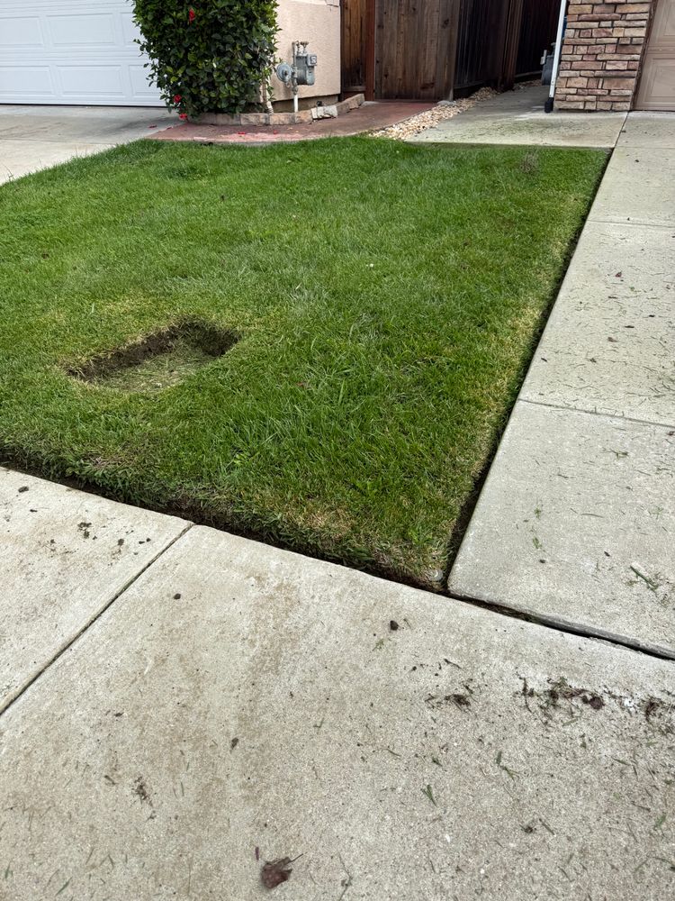 All Photos for CBA Landscaping in Hayward, CA