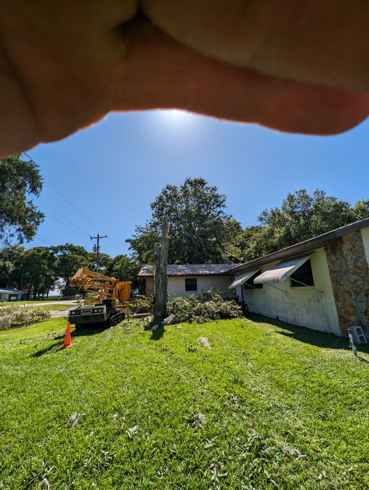 All Photos for Regal Tree Service and Stump Grinding in Wauchula, FL