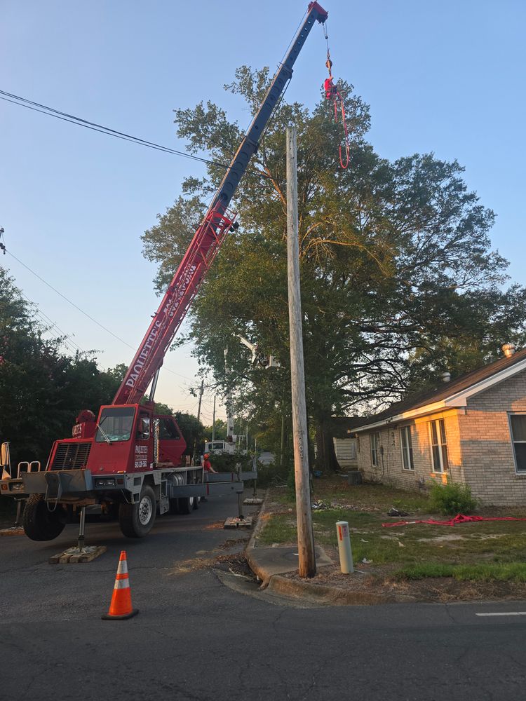 All Photos for Paquette's Tree Service in Malvern, AR