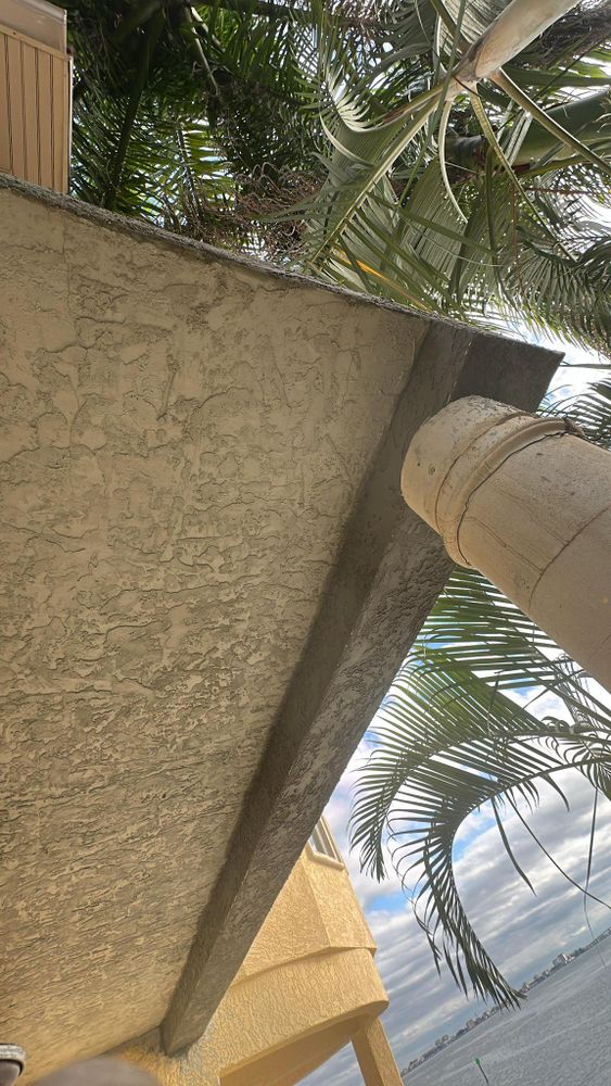 All Photos for Escorpio Painting in Tampa, FL