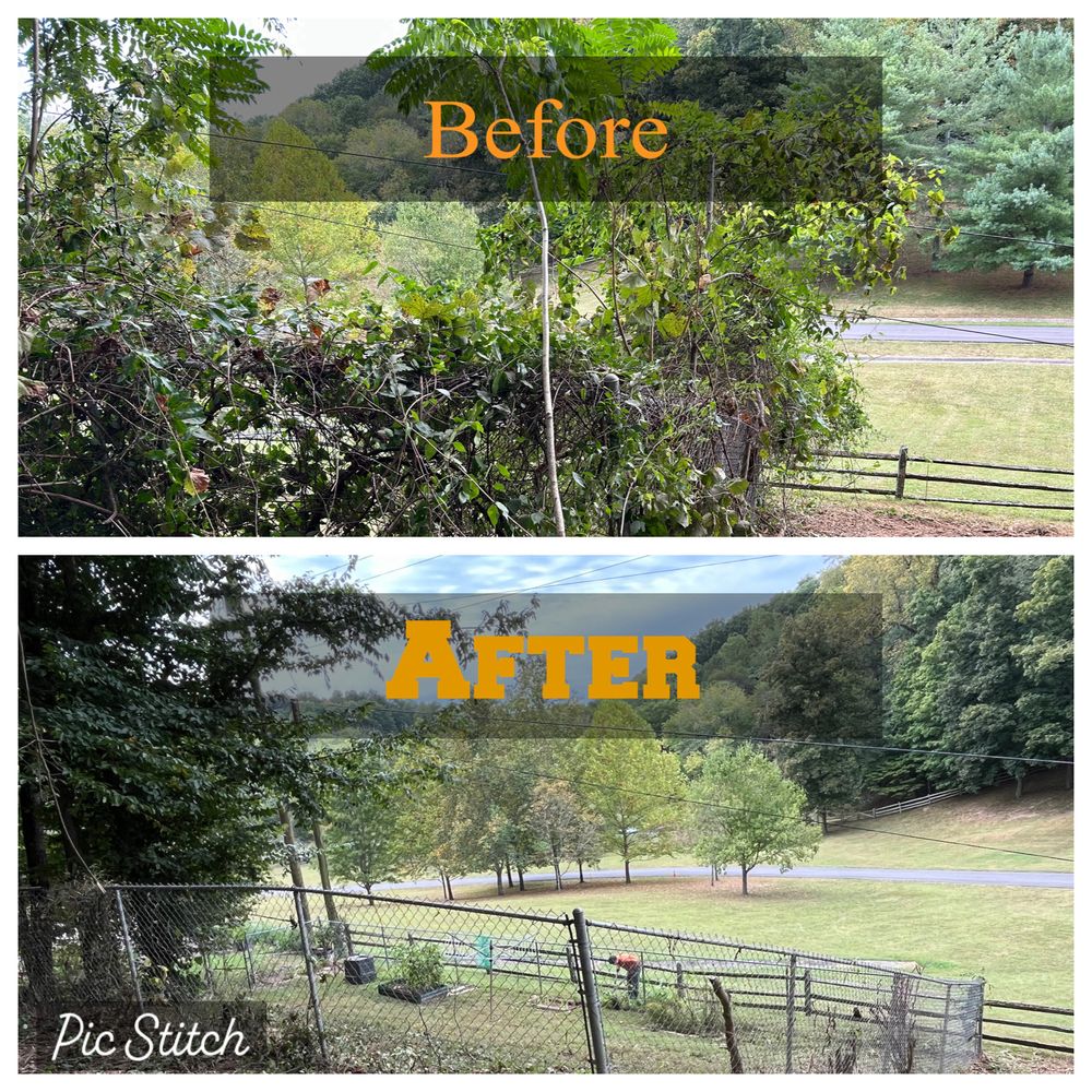 Land Clearing for TriStar Land Clearing & Mulching in Murfreesboro, TN