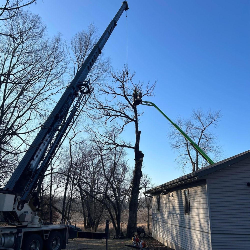 All Photos for Fransen's Tree Service  in Freeport, IL