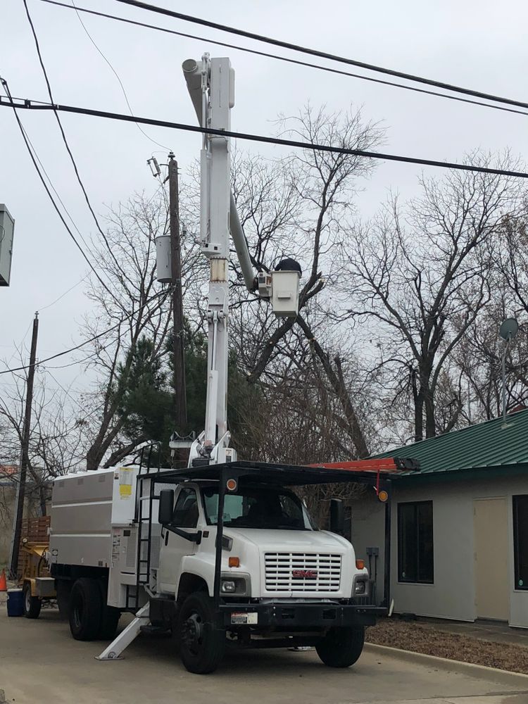 All Photos for Classic cut tree trimming and removal in Arlington, TX