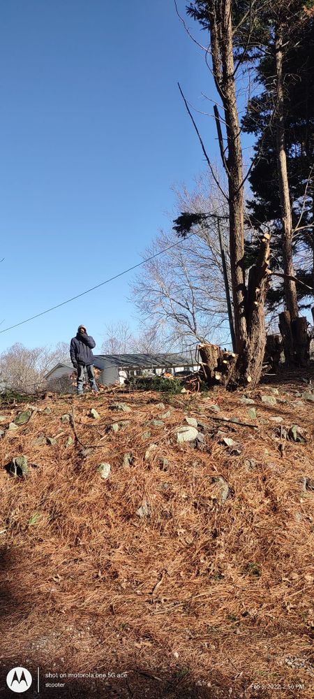 Tree Removal for Top Notch Lawn Care and Tree Removal in Mebane, NC