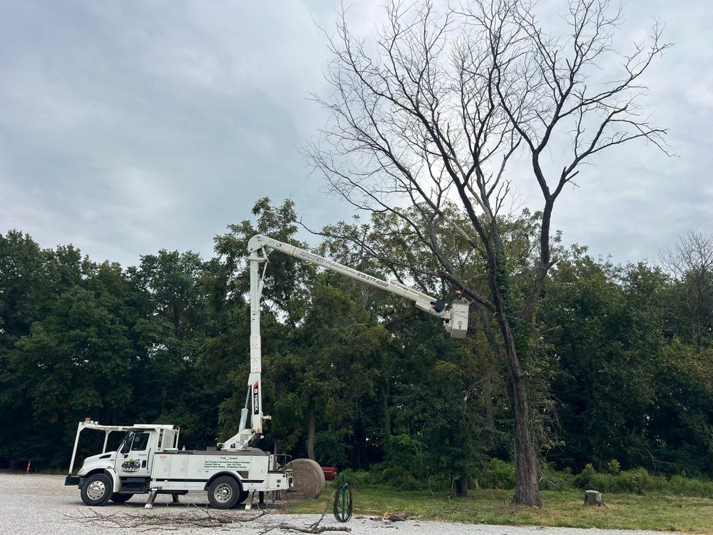 All Photos for Baker Professional Services LLC in Shelbina, MO