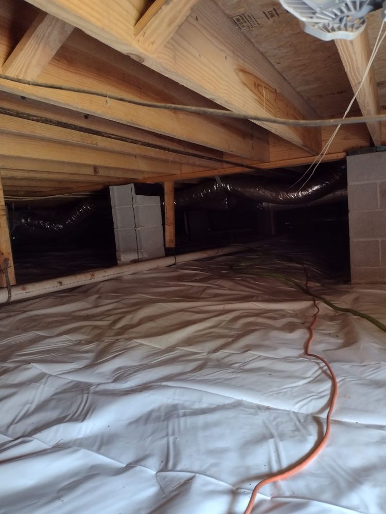 Pest Control for Bug Blasterz LLC in Huntsville, AL