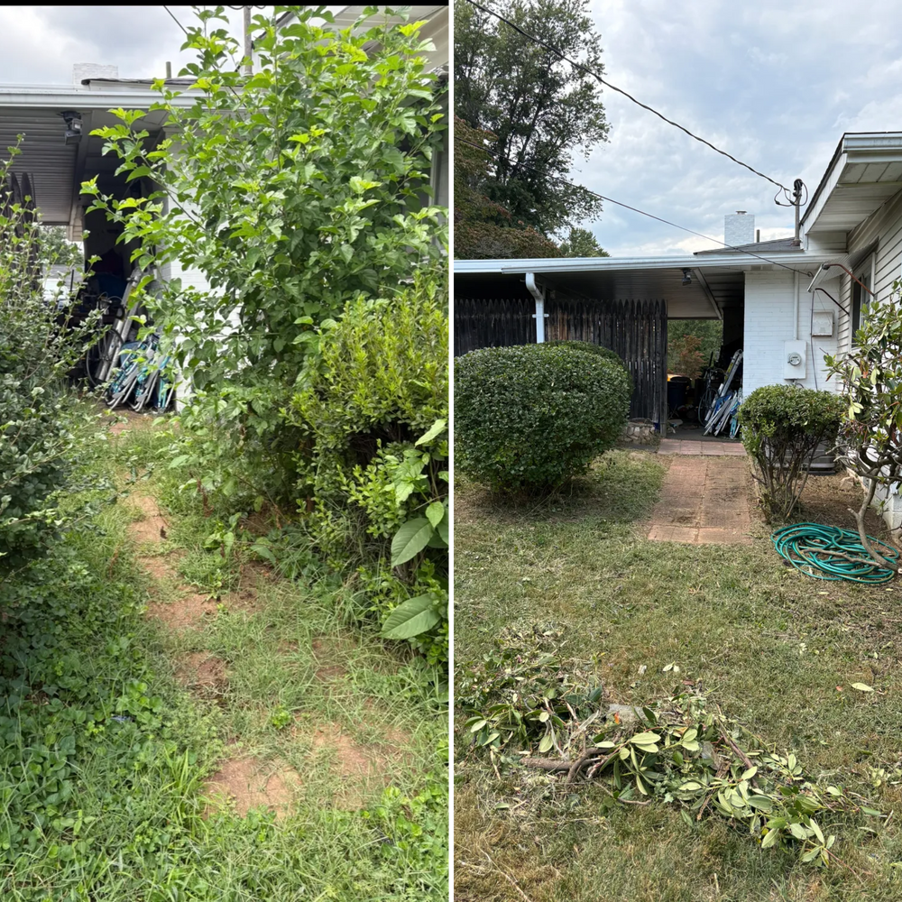 All Photos for Mountainside Property Services LLC in Warrenton, VA