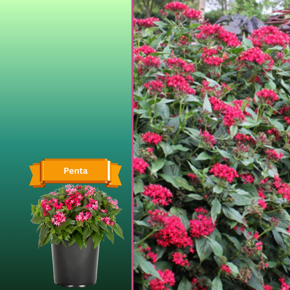 All Photos for R.B. & Company in Belleview, FL