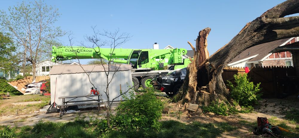 All Photos for Tree Fellers in Sumner County, TN
