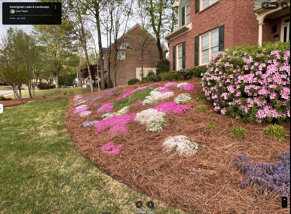 All Photos for Amerigreen Lawn & Landscape in Duluth, GA