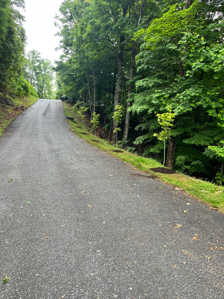 All Photos for Taylors Enterprises in Johnson City, TN