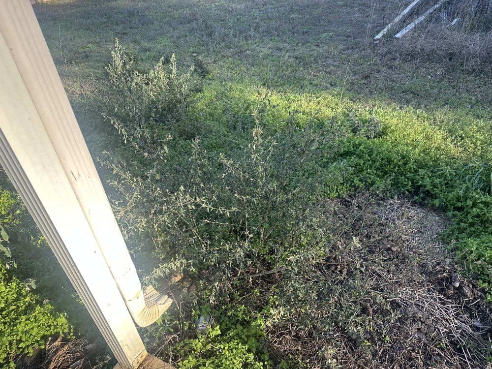 All Photos for Giles Land Management, LLC in Hahira, GA