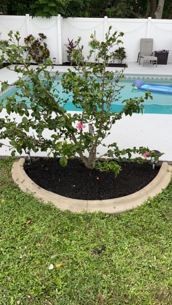 All Photos for Space Coast Property Maintenance and Management LLC in Melbourne, FL