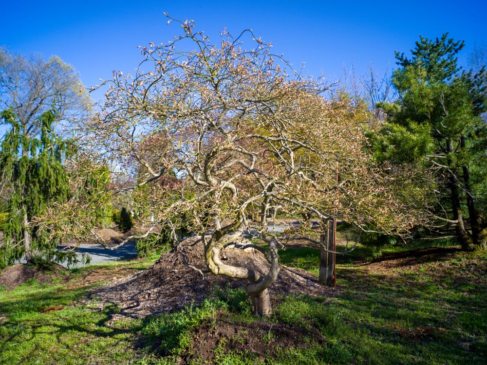 All Photos for  in Morristown, NJ