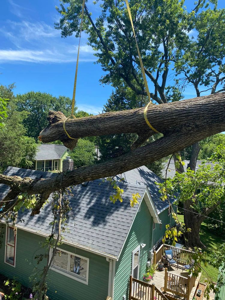 Tree Removal for SMITHs Tree Service in Columbus, IN