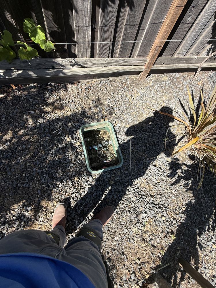 All Photos for CBA Landscaping in Hayward, CA