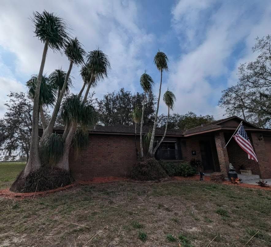 All Photos for Regal Tree Service and Stump Grinding in Wauchula, FL
