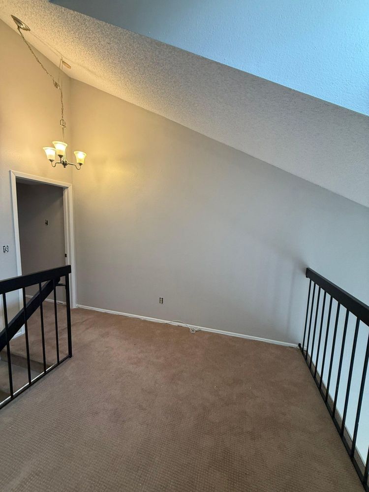 All Photos for Escorpio Painting in Tampa, FL