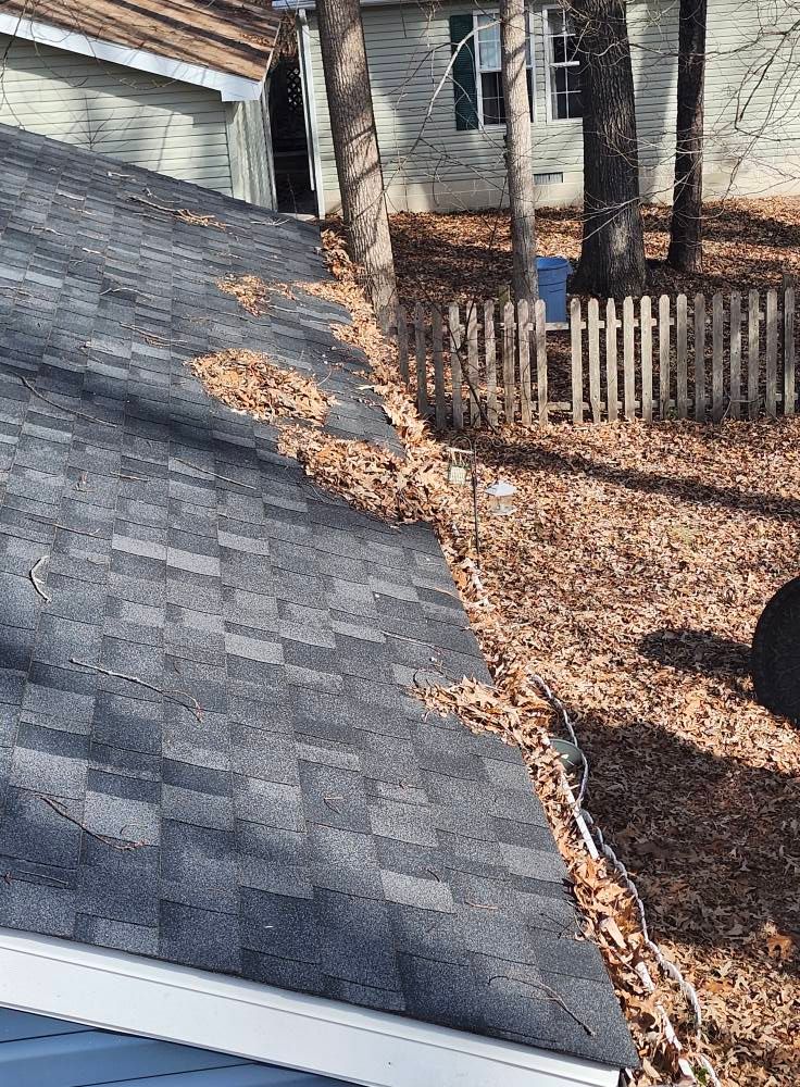 All Photos for Francos Landscaping LLC in Rehoboth Beach, DE