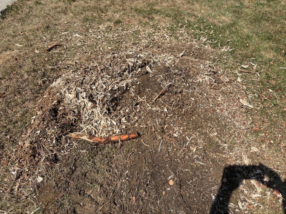 All Photos for Conrad's Stump Removal in Columbus, IN
