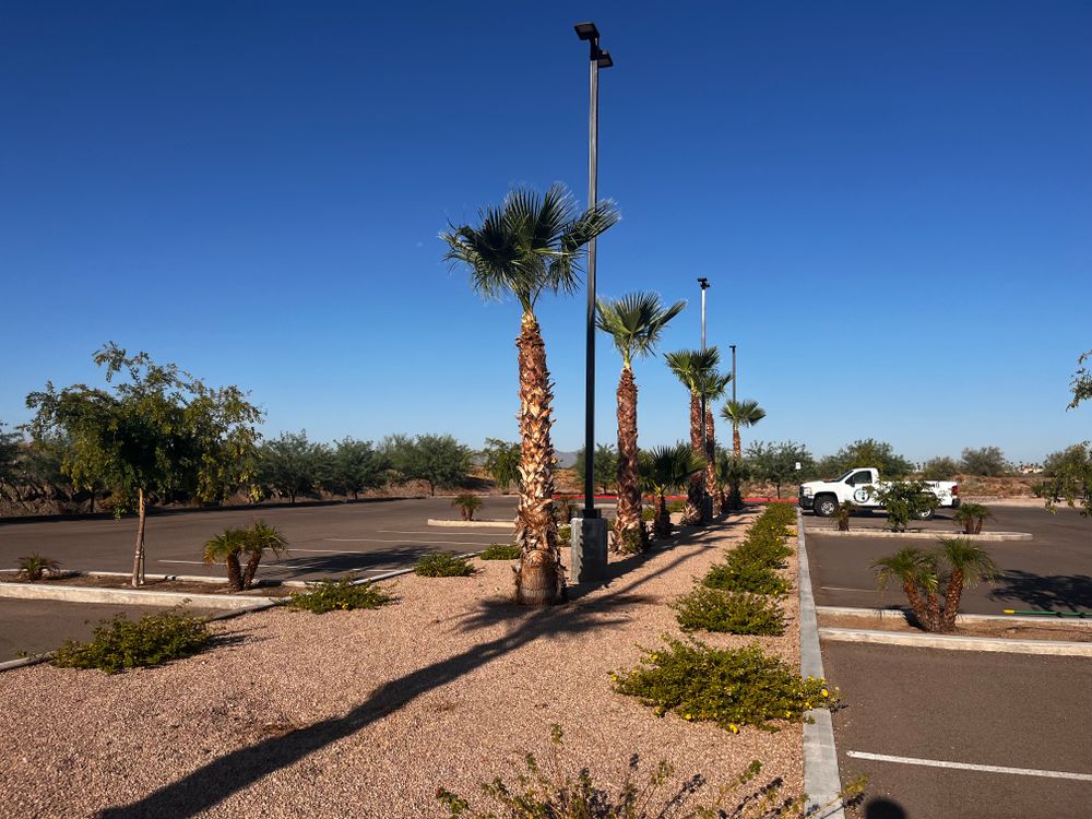 Commercial Gravel Installation for AZ Tree & Hardscape Co in Surprise, AZ