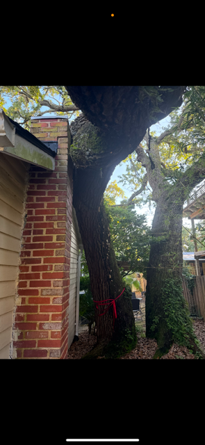 All Photos for Hawkins Tree Service & Land Management in Richmond Hill, GA