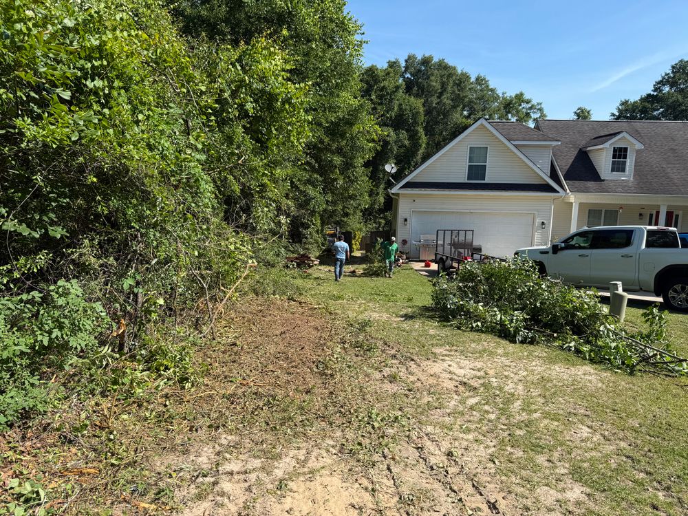 All Photos for T N L - Tree and Land Service in Reynolds, GA