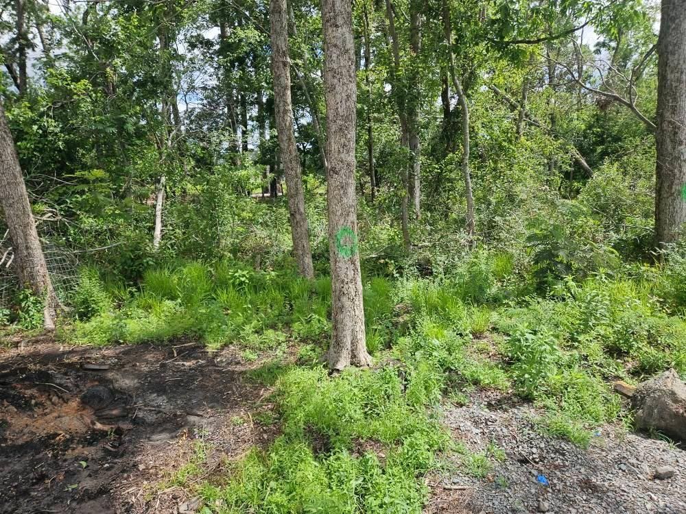 All Photos for Southern Shade Property Service in Ray City, GA