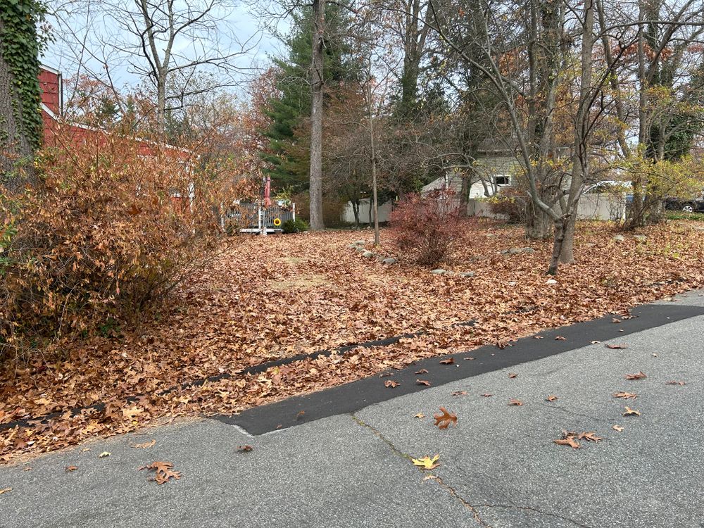 Fall Clean Up for Sanchez Home Services in Pompton Lakes, NJ