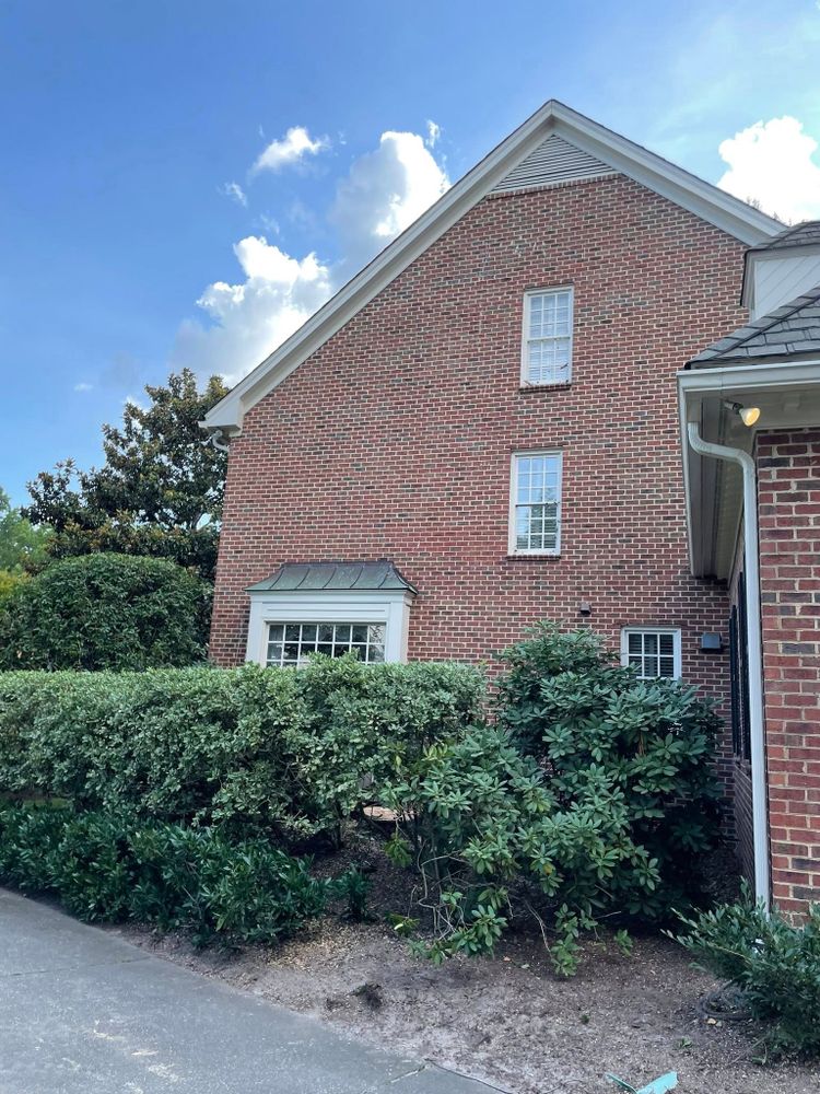 All Photos for J&J Tree Services in Raleigh, NC