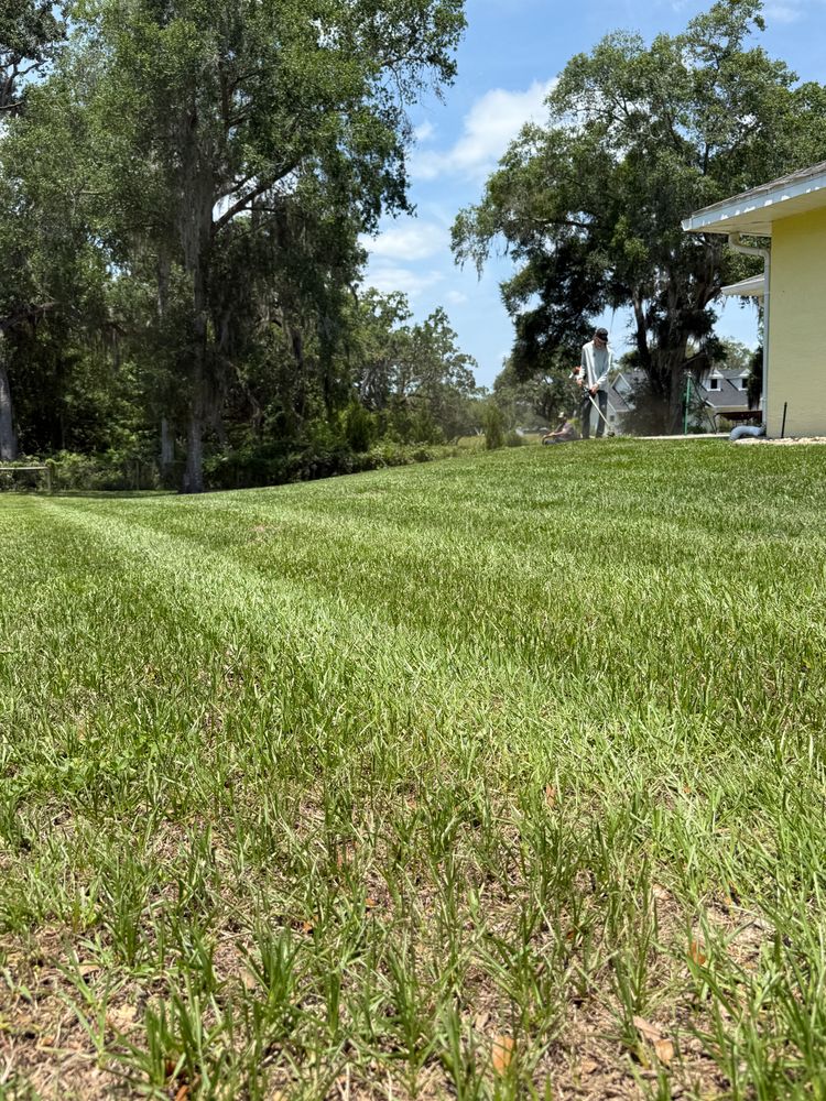 All Photos for Top Gun Lawn Care in Citrus County, FL