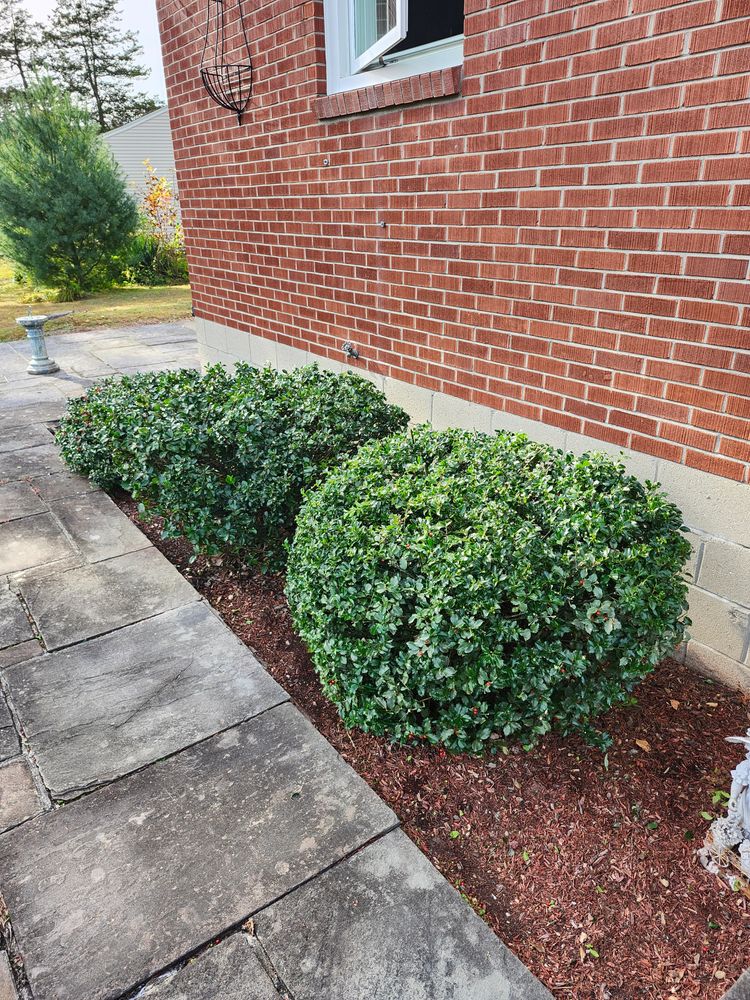 All Photos for Landscape Innovations LLC in Torrington, CT