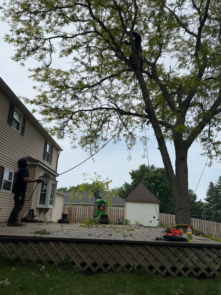 All Photos for Down To Earth Tree Service, LLC in Olmsted Falls, OH