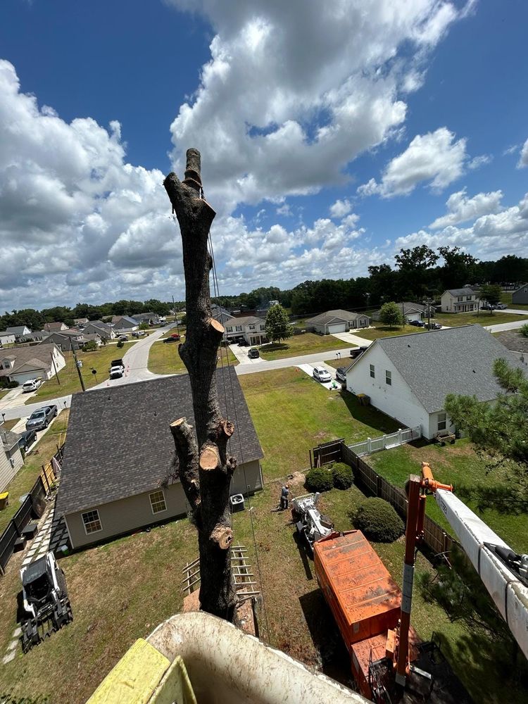 Enhance your property's beauty and safety with our professional tree trimming service, expertly shaping and maintaining trees to improve health, aesthetics, and prevent potential hazards. Trust us for meticulous care and results. for Ayla Tree Service in Guyton, GA