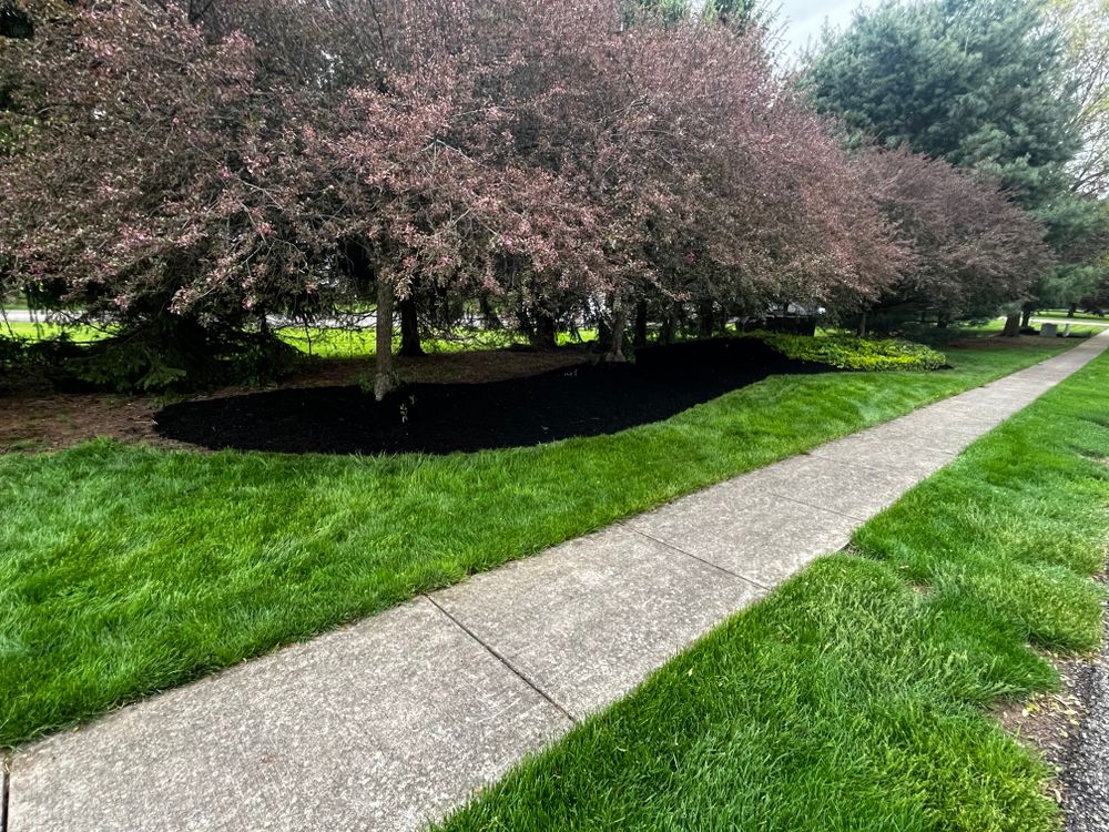 All Photos for Duff’s Lawncare in Prospect, PA