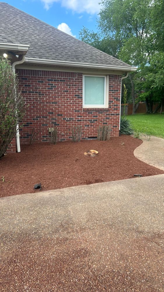 All Photos for Optimum Tree Service And Landscaping in Bowling Green, KY