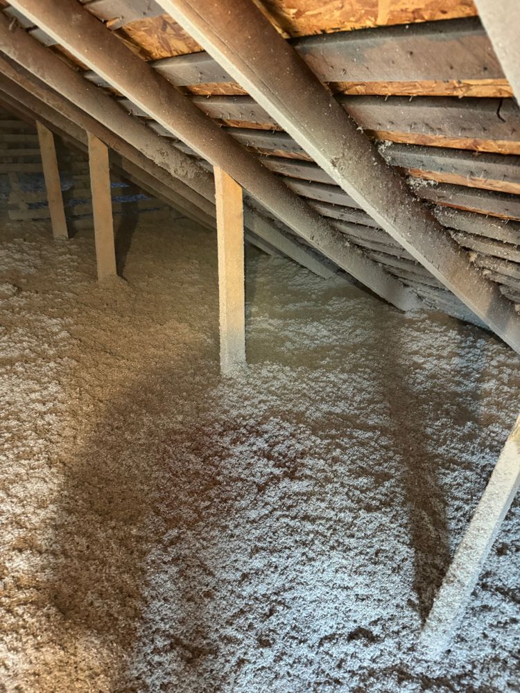 Crawlspace/Attic Renovation  for All-In Pest Control & Home Solutions in Greene County, IN