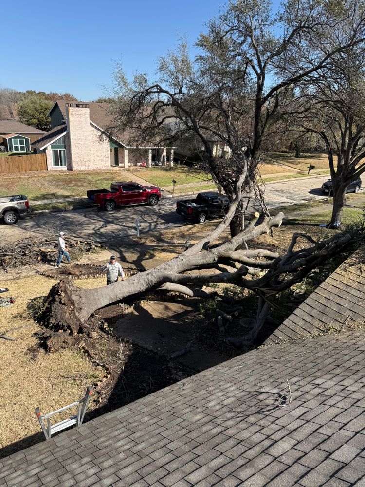 All Photos for Twin Oak Solutions in Carrollton, TX