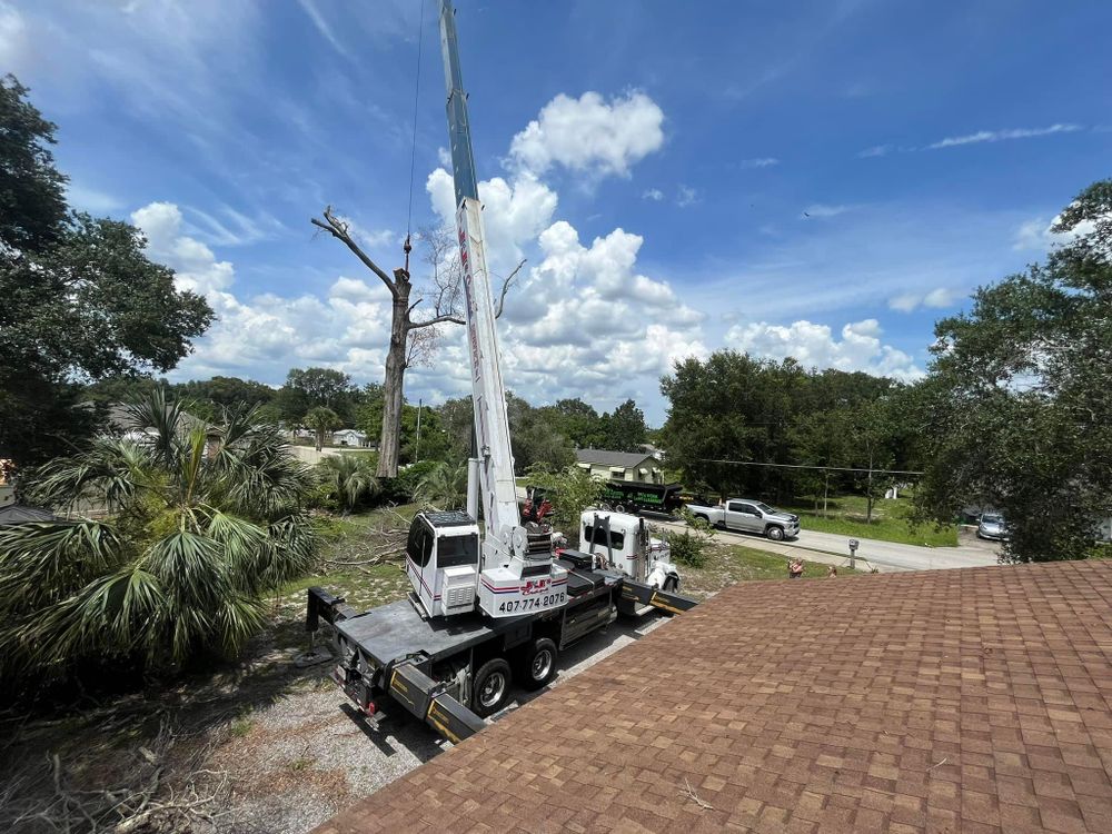 All Photos for McGraw’s Lawn and Tree Service in DeLand, FL