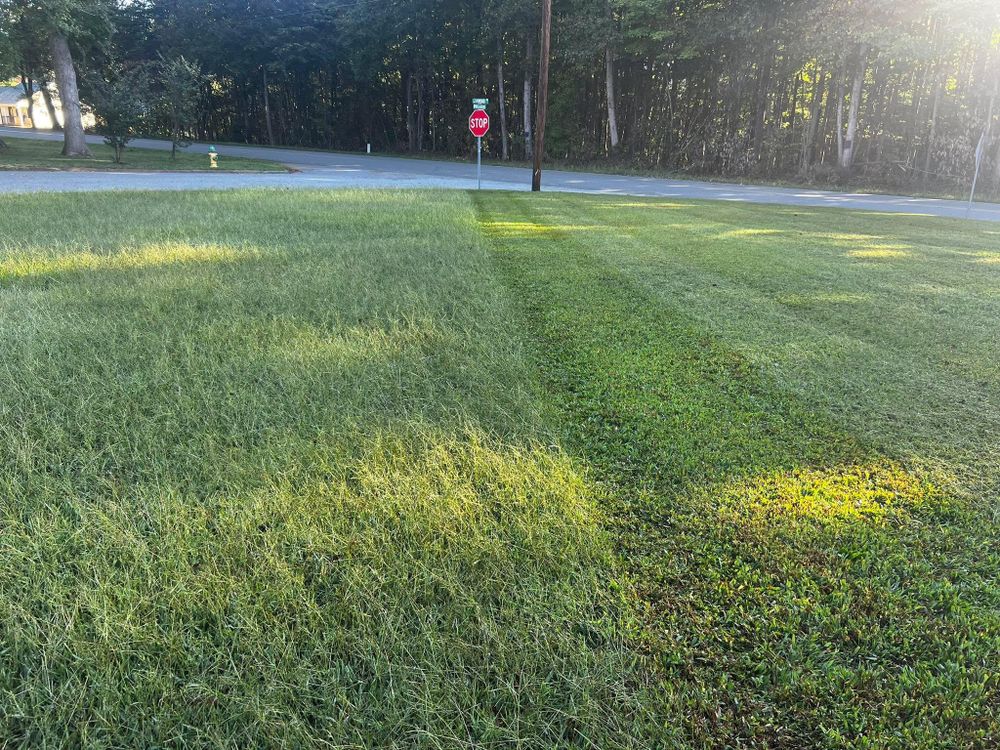 Seasonal Contracts for America's Top Pick Lawn & Landscaping in Gastonia, NC