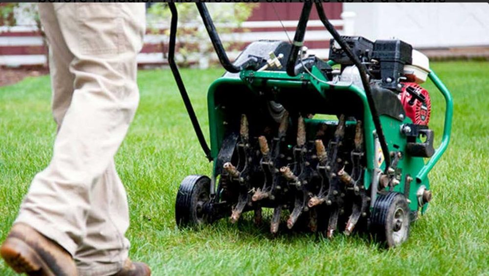 All Photos for Beach Boy Grounds Maintenance LLC in Germantown, MD