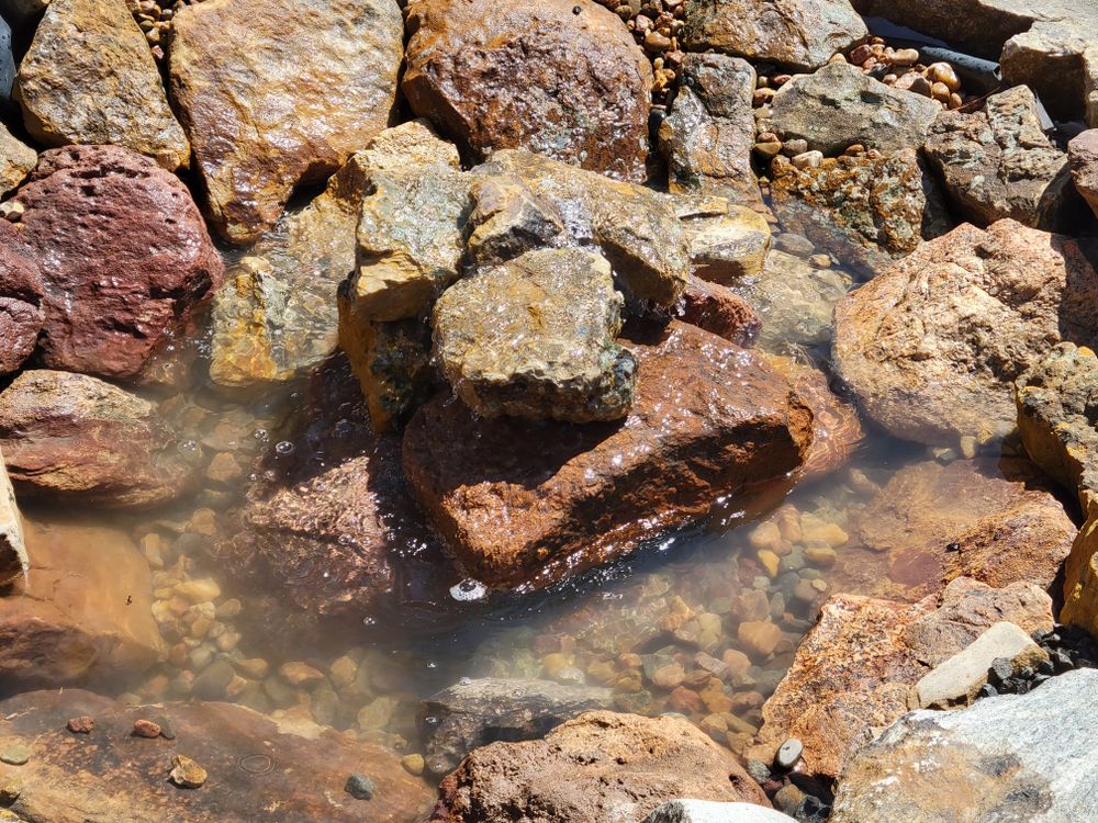 All Photos for JS Landscaping Colorado in Denver, CO